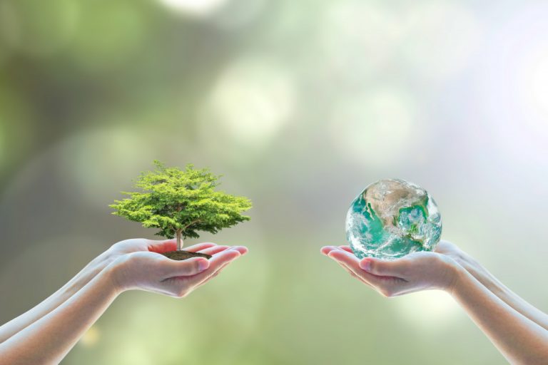 hands holding a miniature tree and another pair of hands holding a globe
