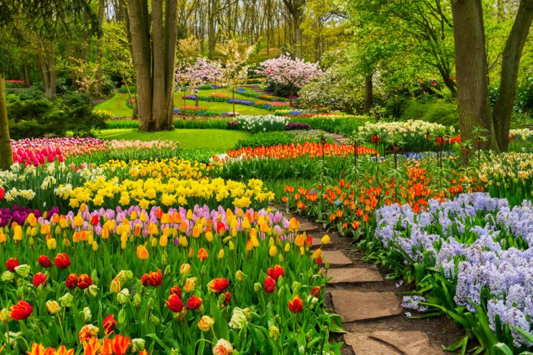 beautiful garden landscape with flowers and walkway