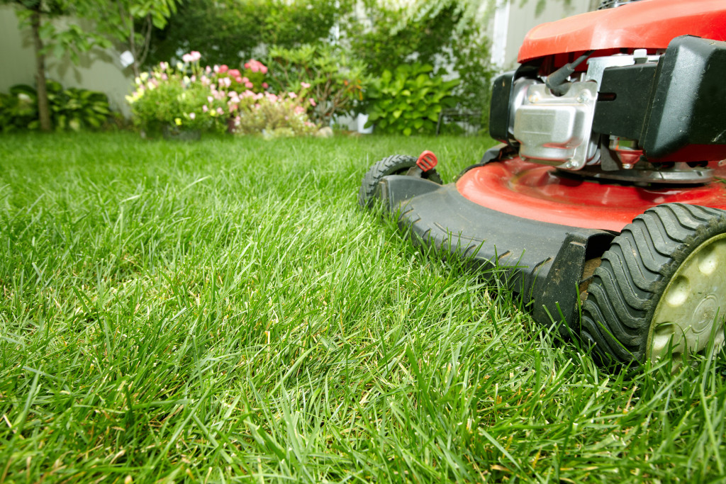 Gardening concept and green background